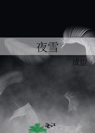 夜雪的意思