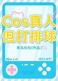 但打排球小说