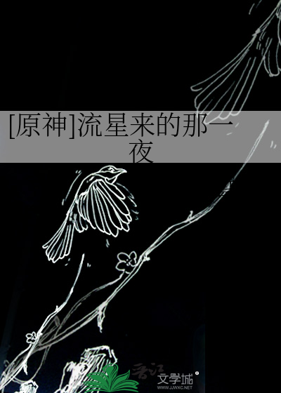 流星来临的那一夜