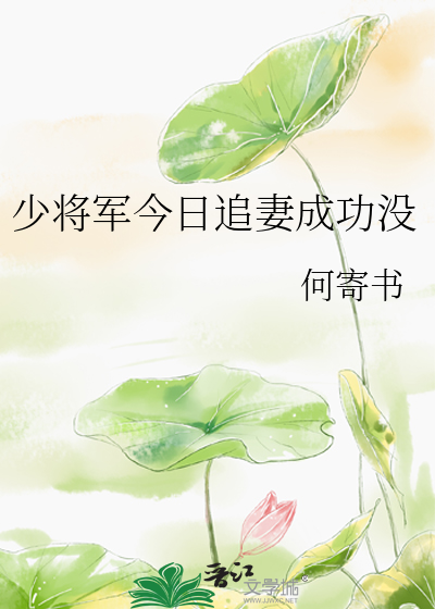 少将宠婚日常全文阅读
