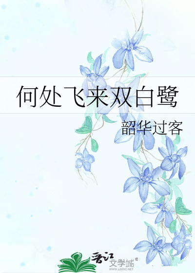 何处飞来鸿双影是什么生肖