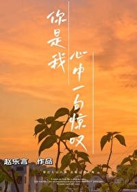 你是我心中一句惊叹歌词