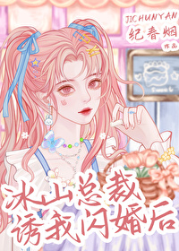 冰山总裁追妻忙
