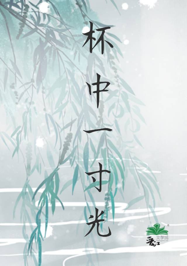 一寸光阴一寸光