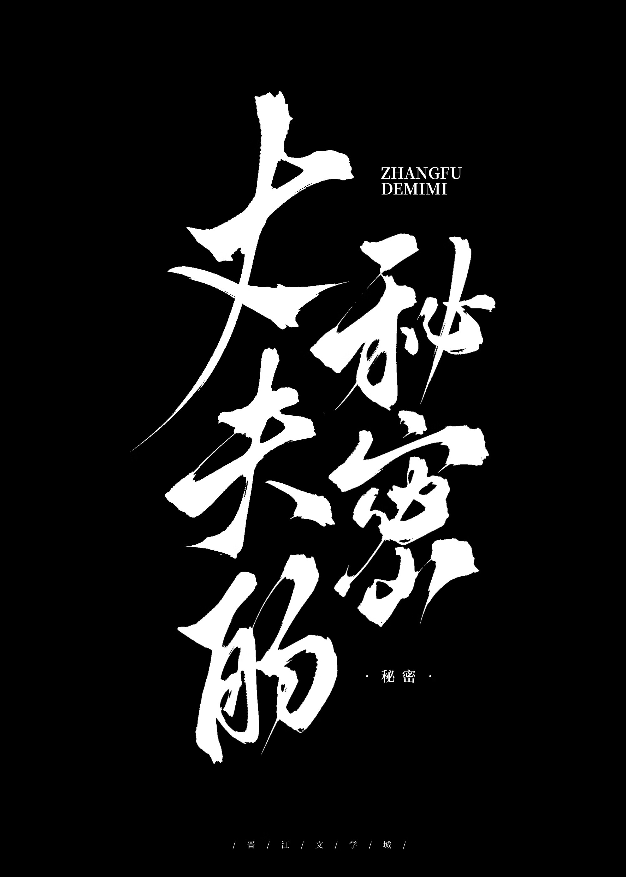 丈夫的秘密电视剧全部剧集