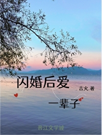 闪婚后爱一辈子小说