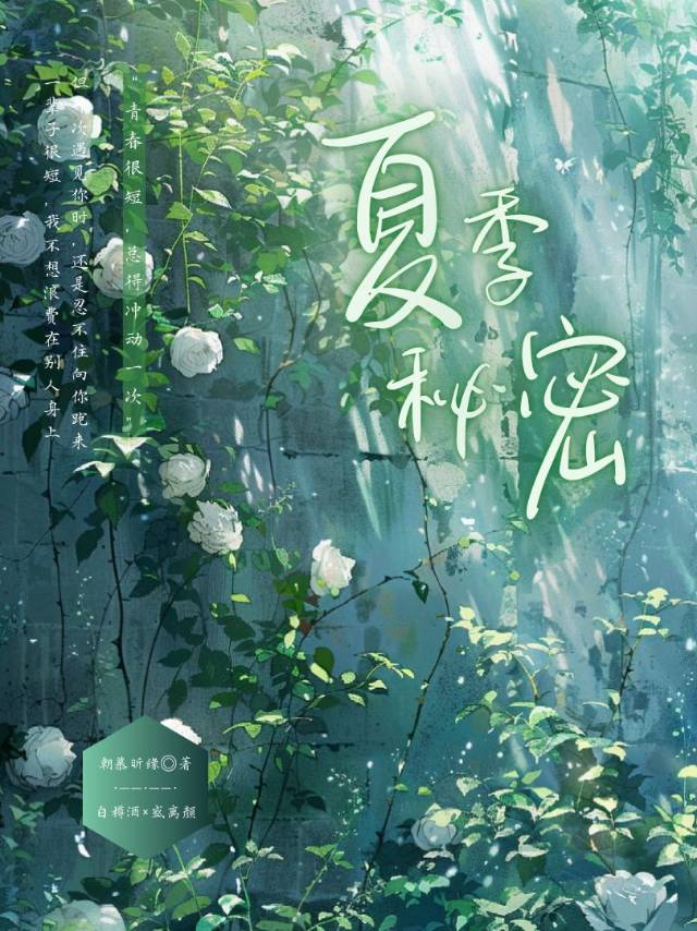 夏天的小秘密攻略