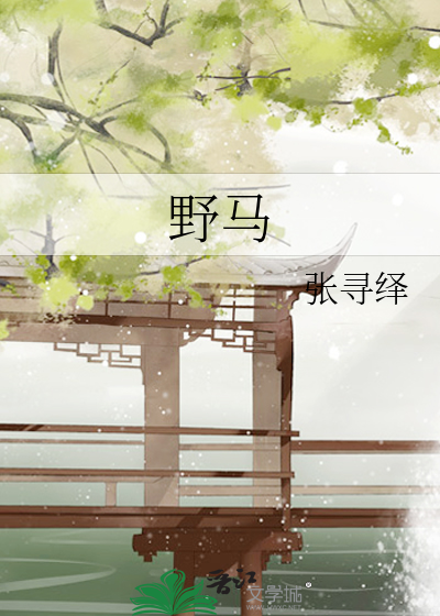 野马头盔
