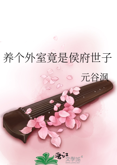 侯爷养了一个外室小说