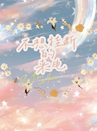 半面江湖txt
