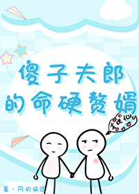 傻夫夫啥意思
