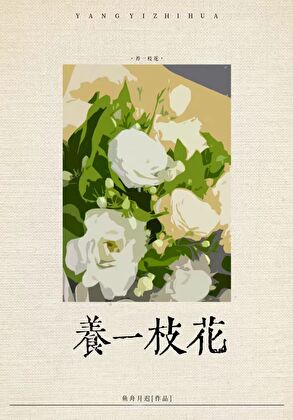 我家夫人全反派百度百科
