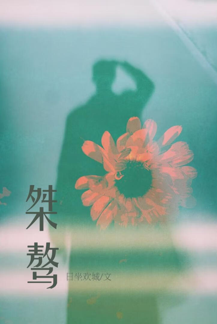 空降出道后我成了top沈初然