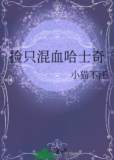 快乐排球