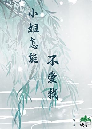 老板她负责到底