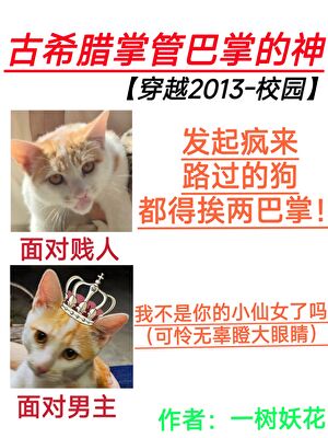 是亡妻是替身是嫂子